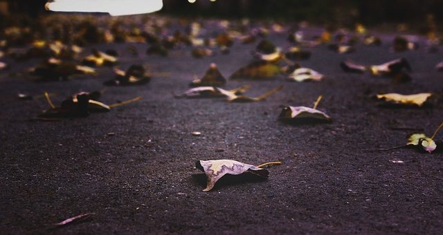 Sealcoat, the Cost-Effective Way to Protect Your Pavement